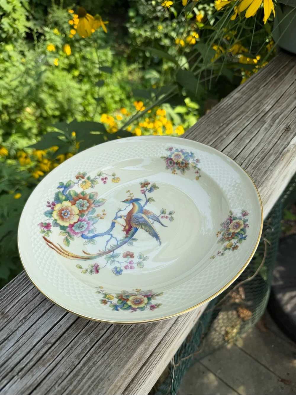 Thomas Ivory Germany thomas ivory